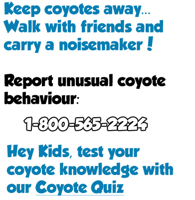 be coyote smart